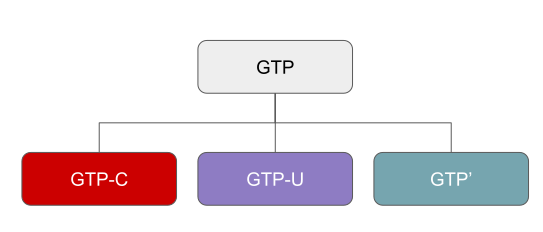 GTP Encapsulation