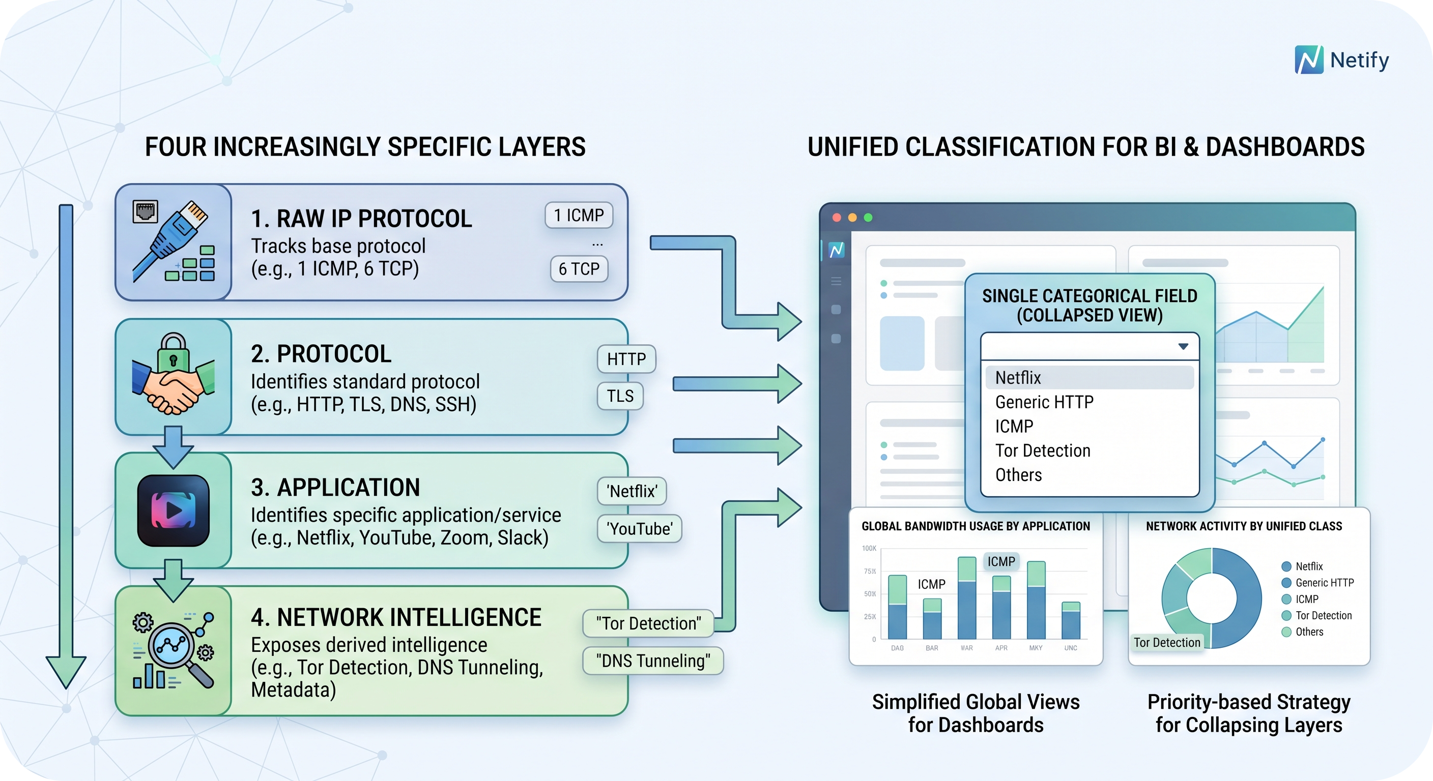 Netify Classification