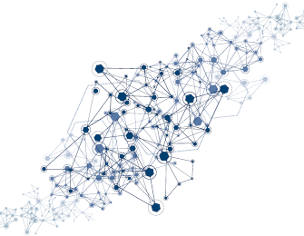 Netify DPI Flows