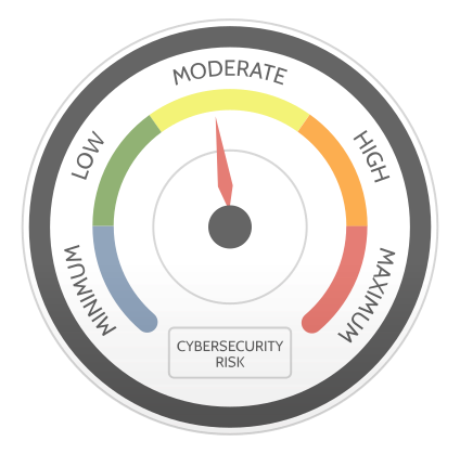Cybersecurity Risk